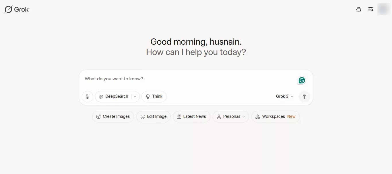 grok ai interface