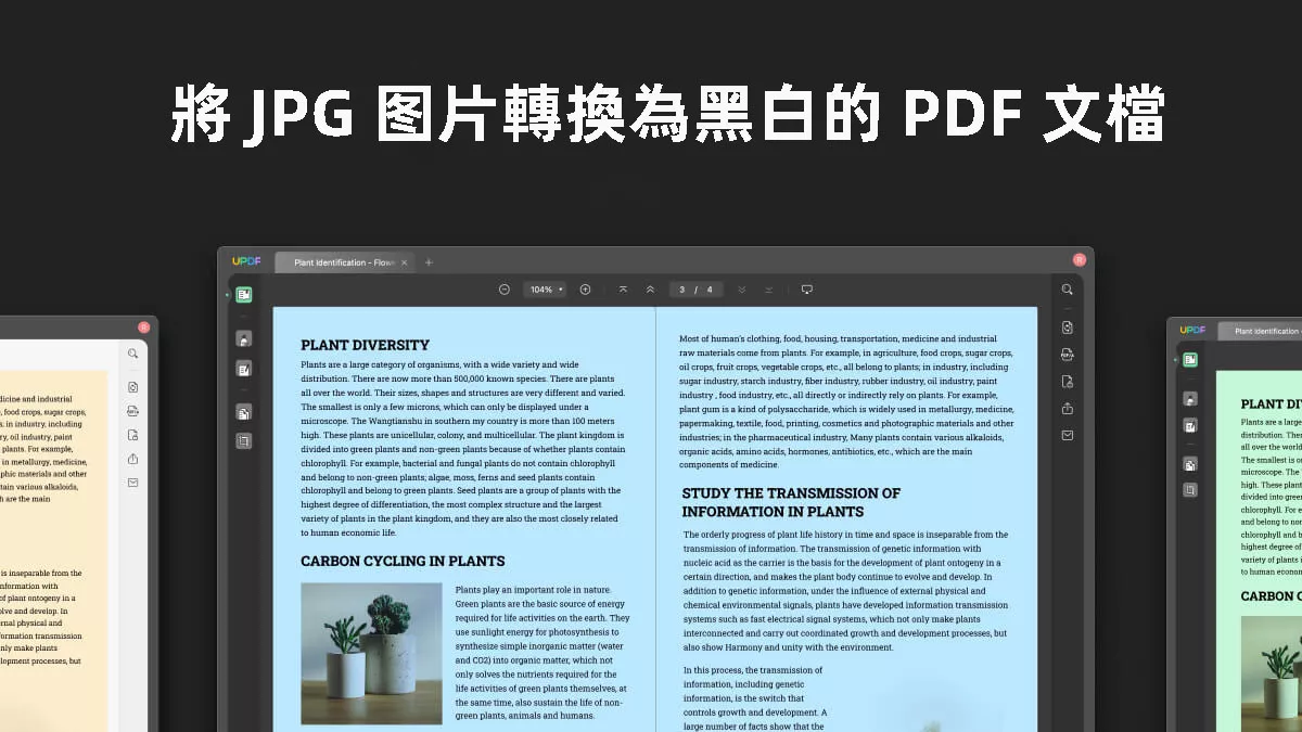 如何將 JPG 图片轉換為黑白的 PDF 文檔？