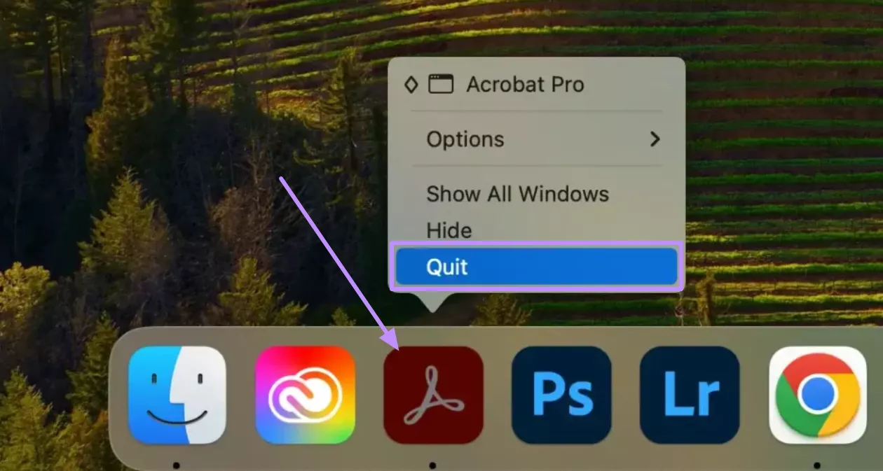 quit adobe acrobat on mac