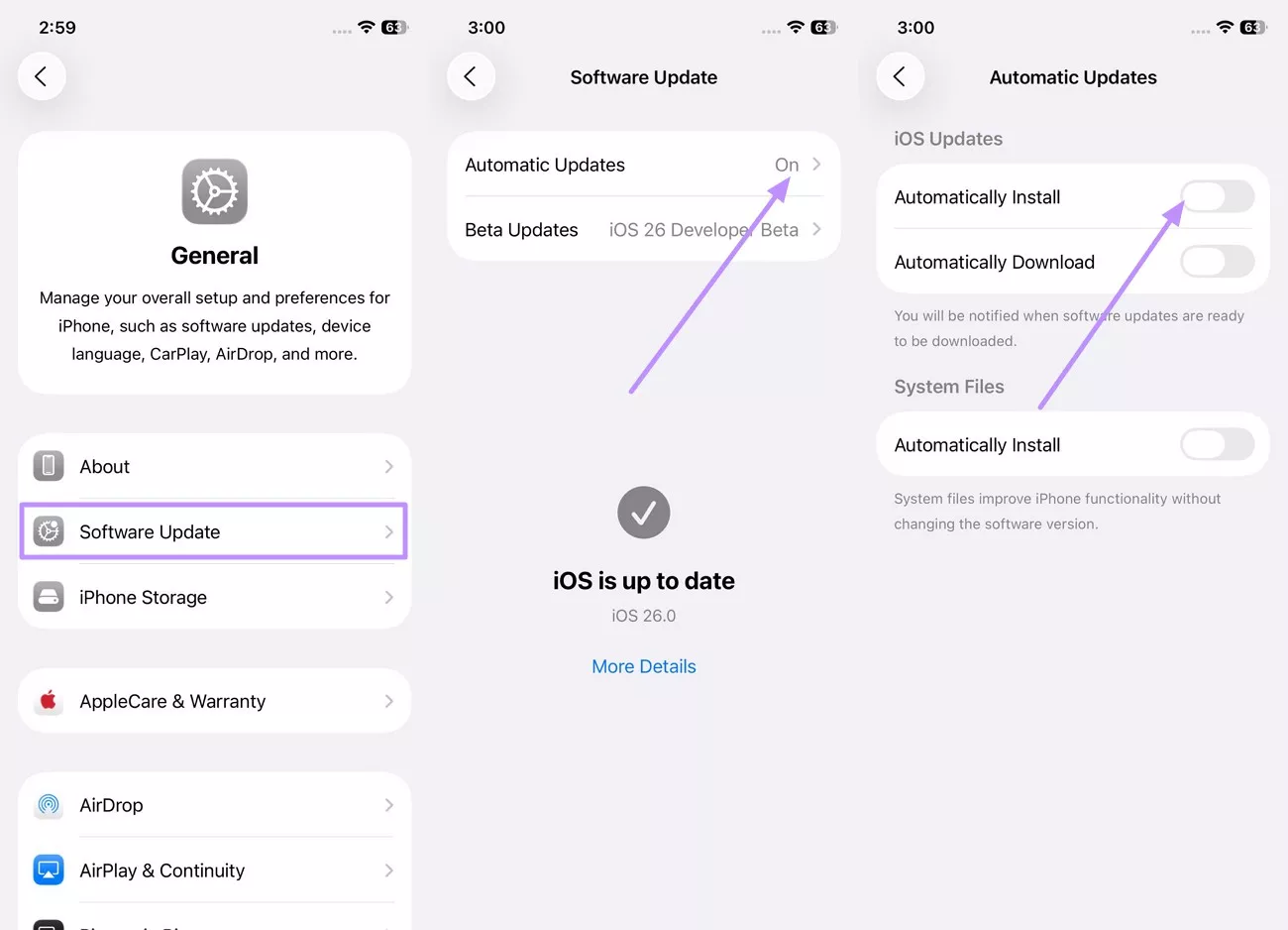 turn off automatically install software update