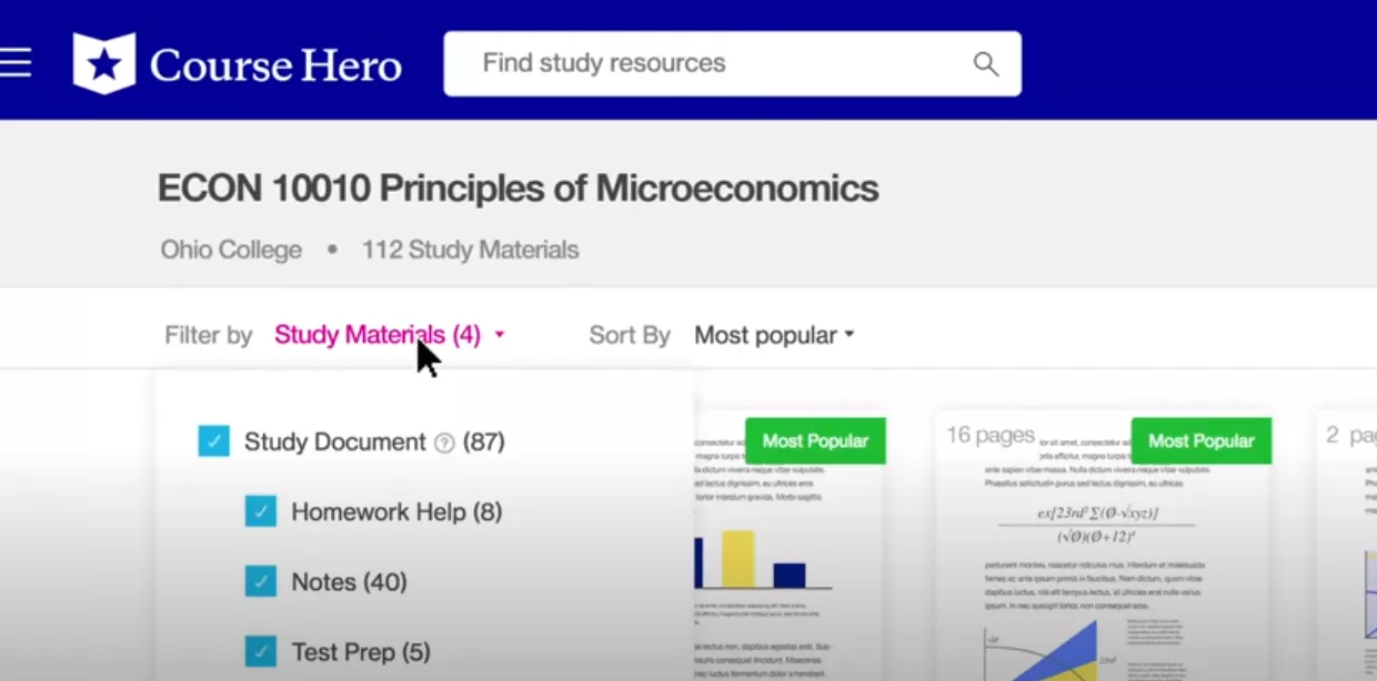 coursehero interface.
