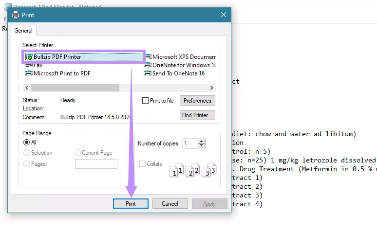 select bullzip pdf printer and click print bullzip pdf printer