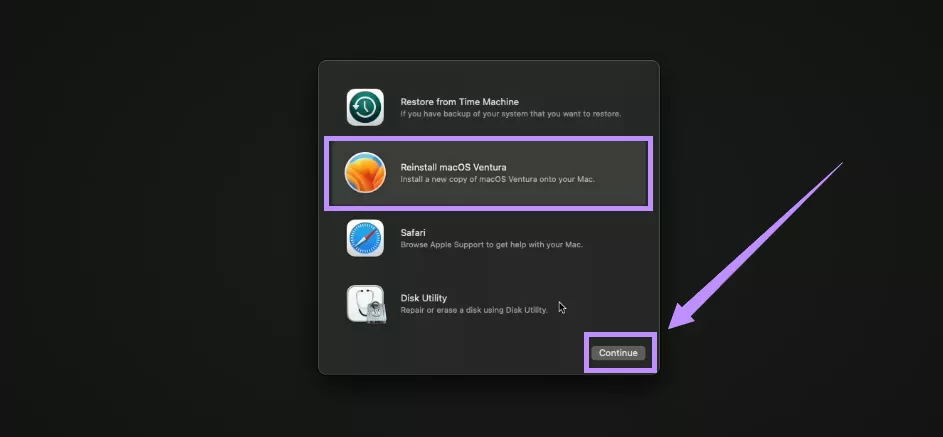 select reinstall macos and continue mac