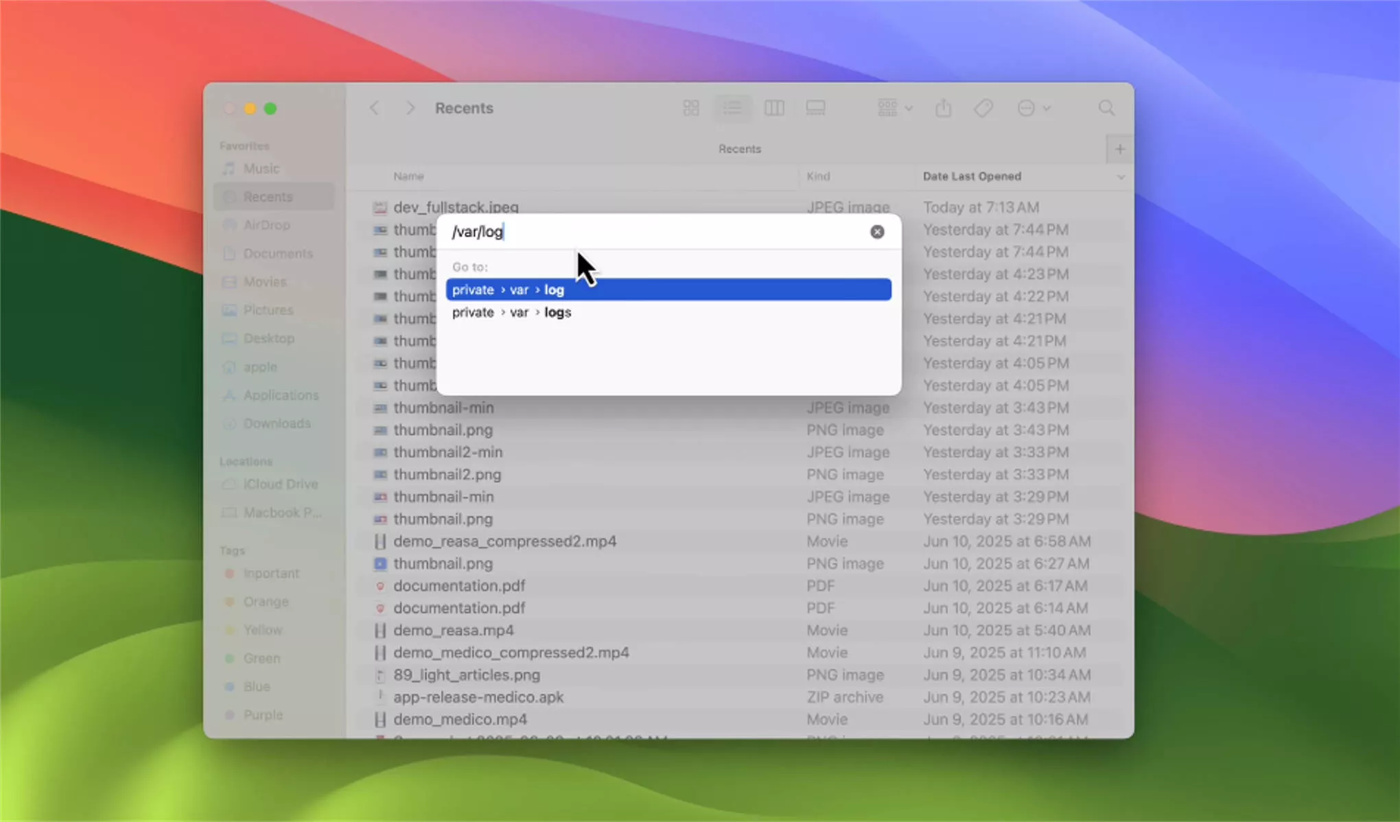type /var/log mac