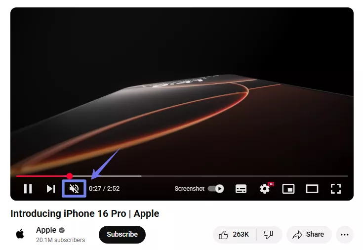 check if the video is muted mac