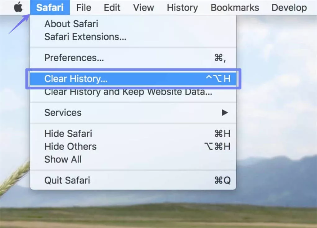clear safari history mac
