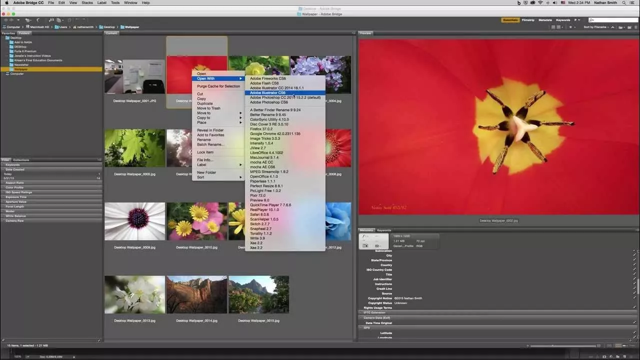 open 3fr in adobe bridge mac