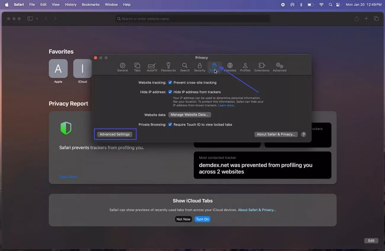 go to privacy tab cookies safari