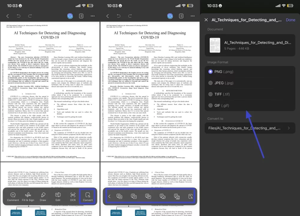 convert pdf different formats
