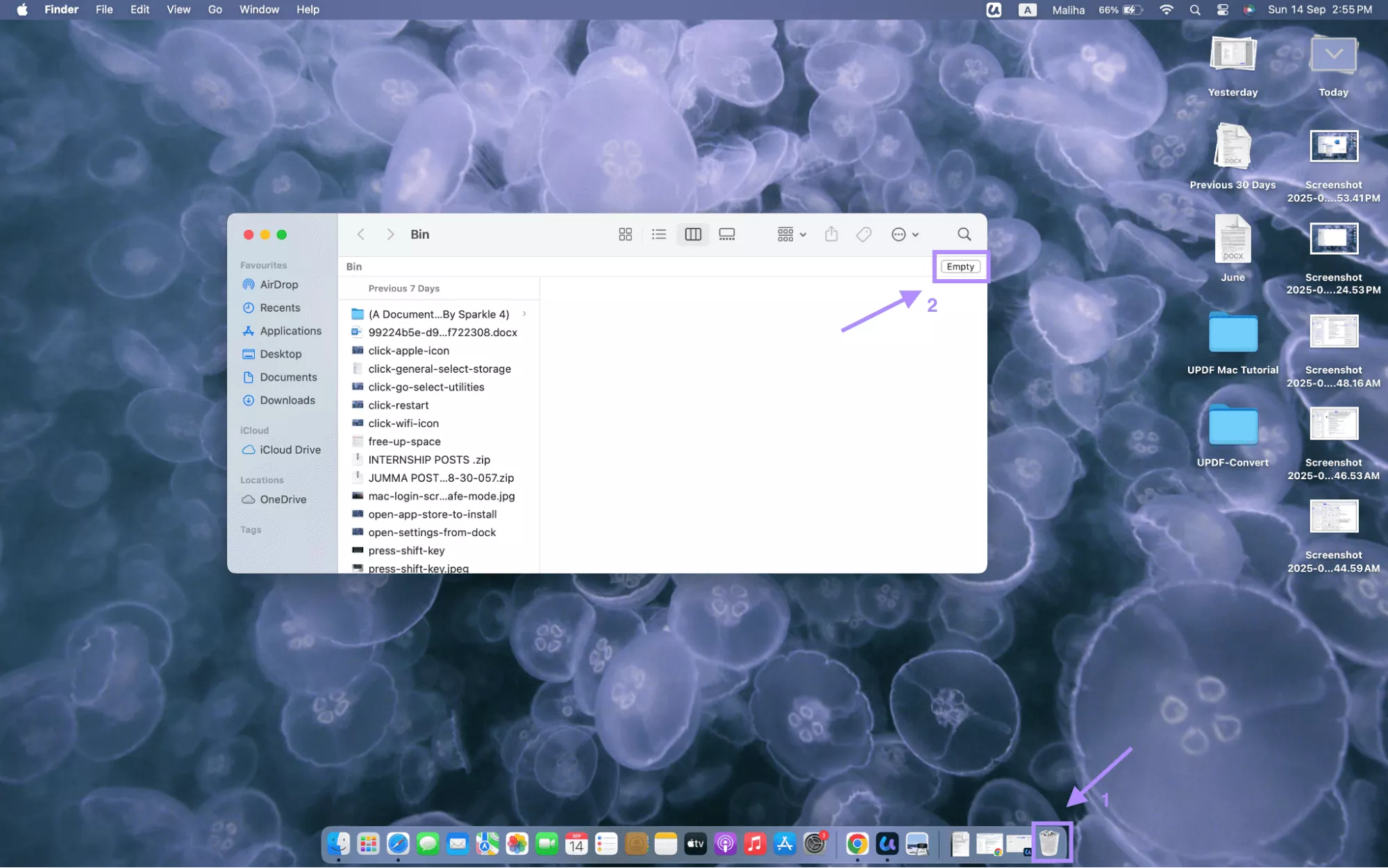 empty trash mac