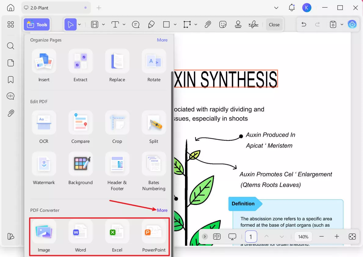 use pdf converter feature