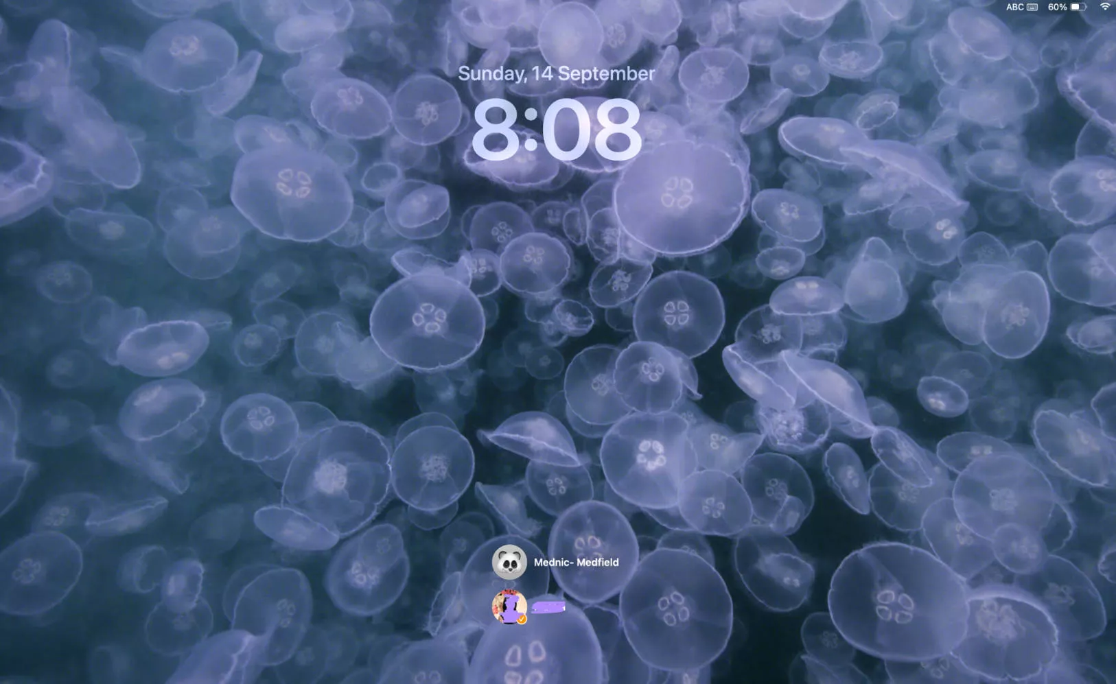 login to another profile on mac