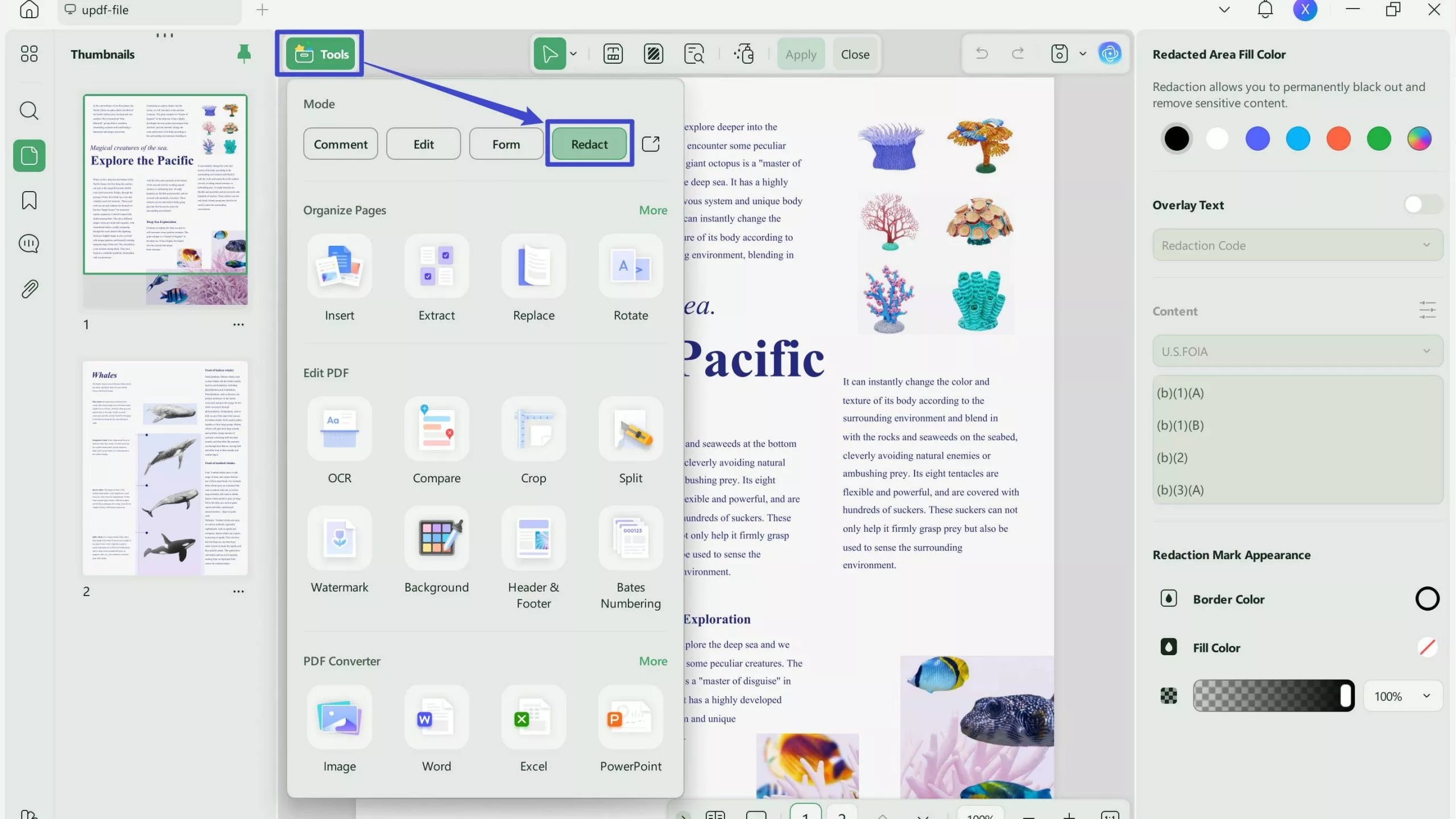 play pdf in slideshow
