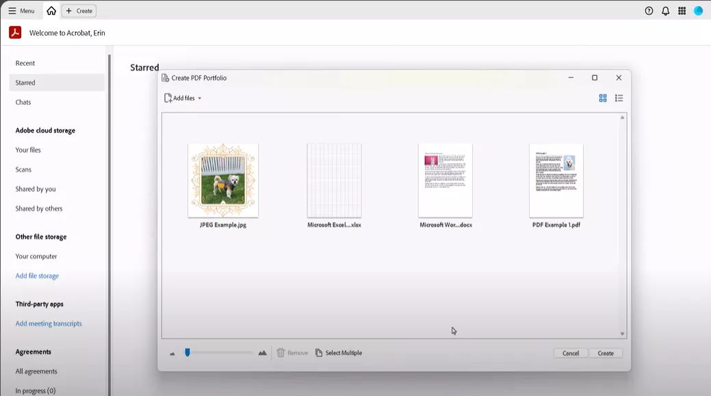 adobe acrobat pdf portfolio window displaying multiple imported signed pdf files and documents