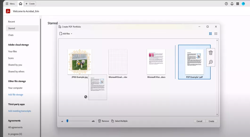 user dragging and rearranging files within the adobe acrobat pdf portfolio window