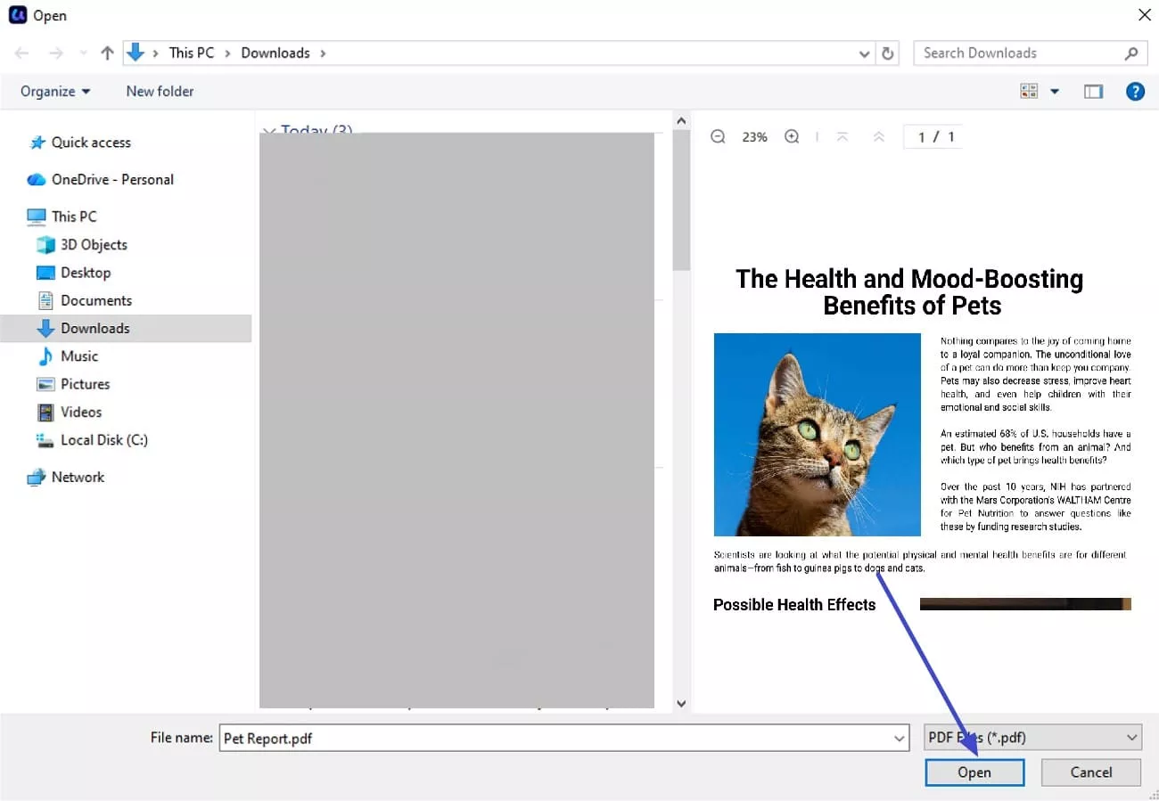preview pdf before opening