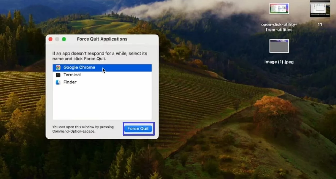 tap on force quit button