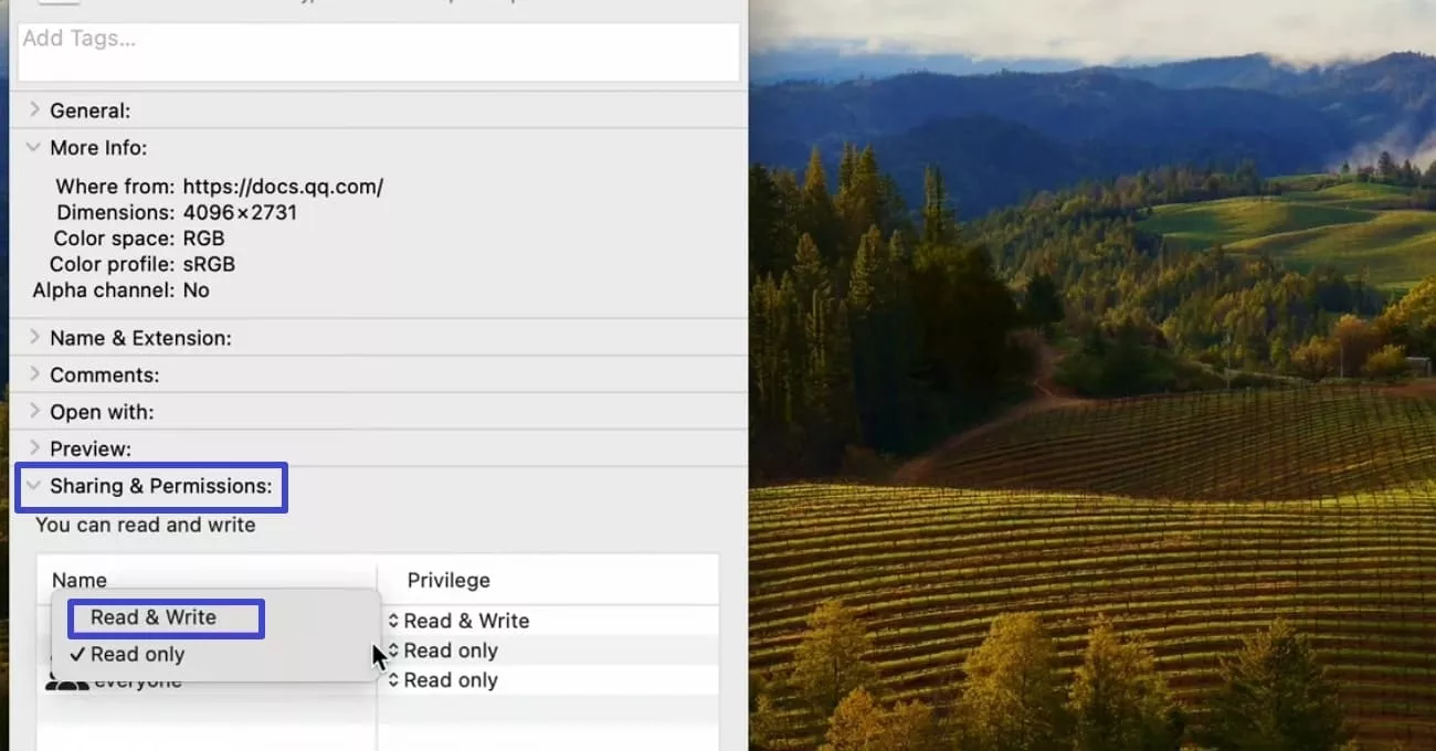 access sharing and permissions