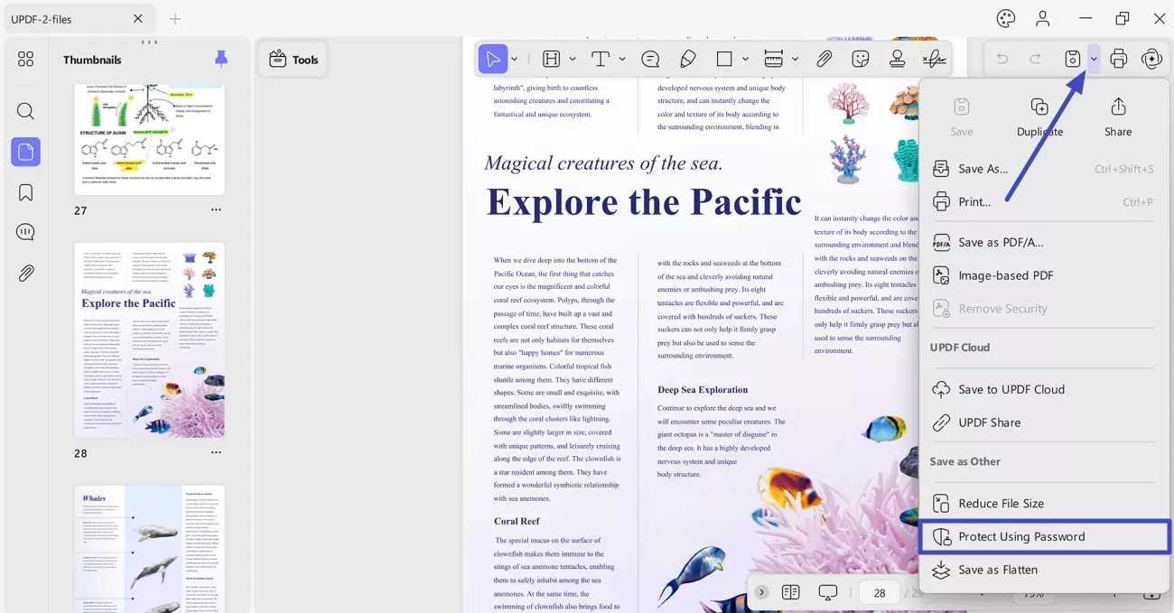 updf-passport-protect-1