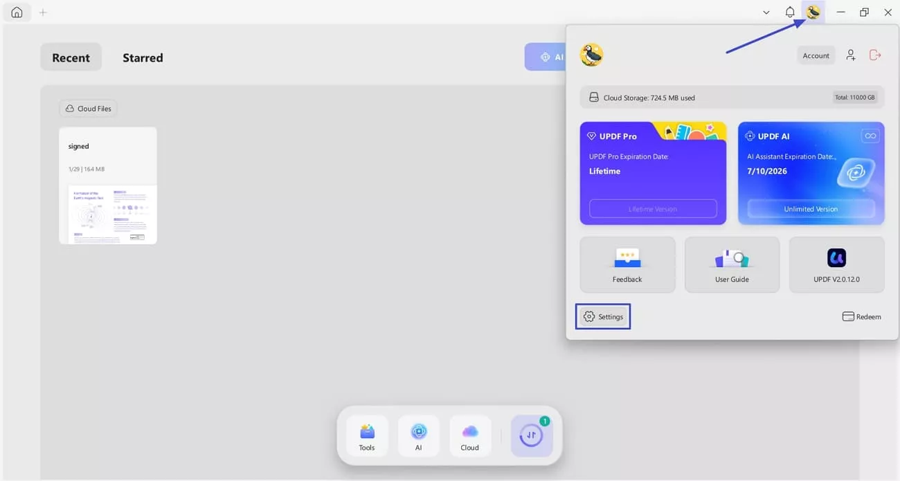 access updf settings window